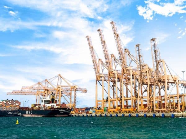 Ports as ecosystems: the next challenge for delivery